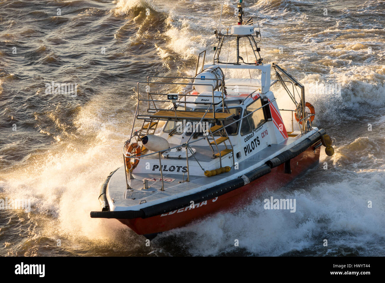 Bateau pilote, vient d'expédier à collecter pilote, Montevideo, Uruguay Banque D'Images