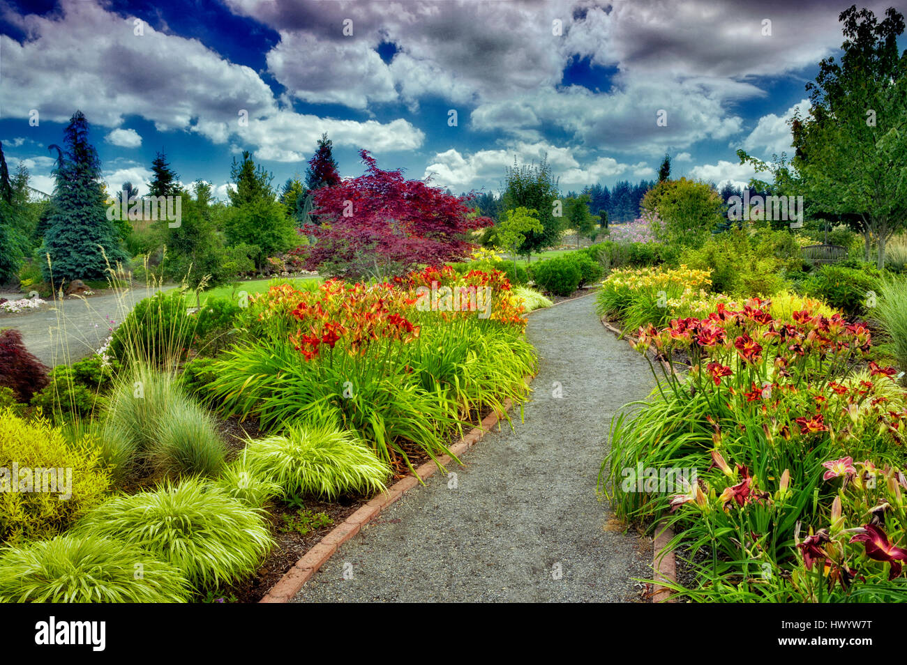 Sentier en Oregon Garden. Oregon Banque D'Images