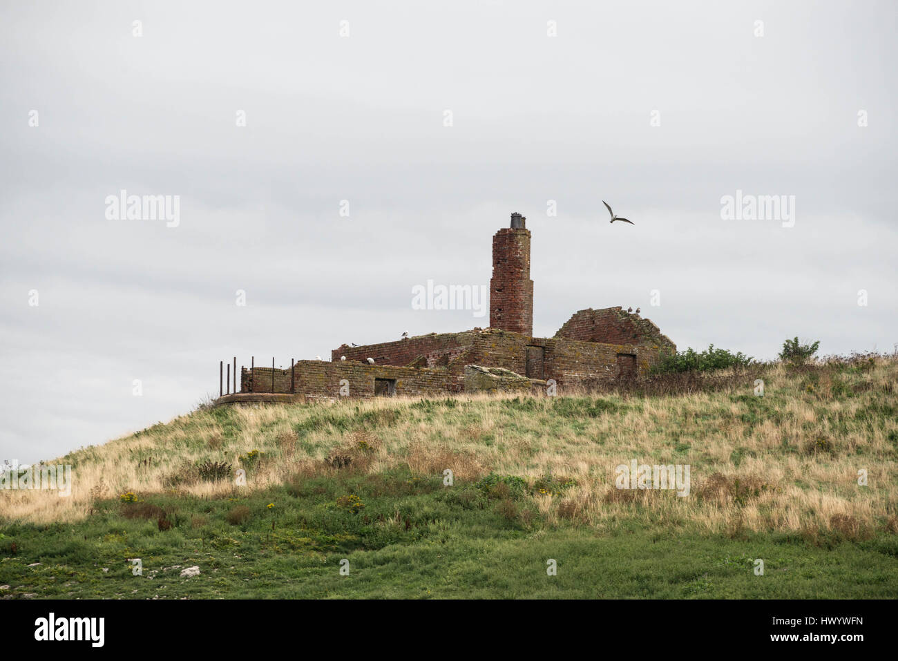 Ruines du monastère sur l'île de macareux, Beaumaris Banque D'Images