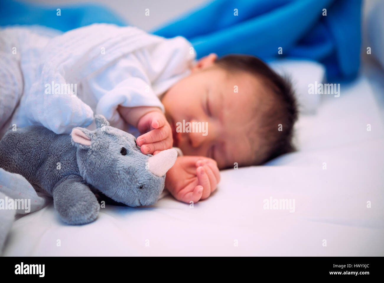 Bébé nouveau-né de dormir dans le lit avec un rhinocéros en peluche Banque D'Images