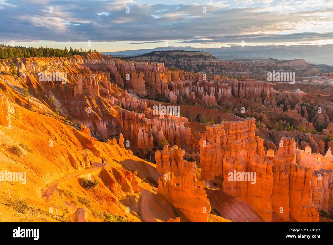 USA, Utah, le Parc National de Bryce Canyon, les cheminées dans l'amphithéâtre comme vu de Rim Trail Banque D'Images