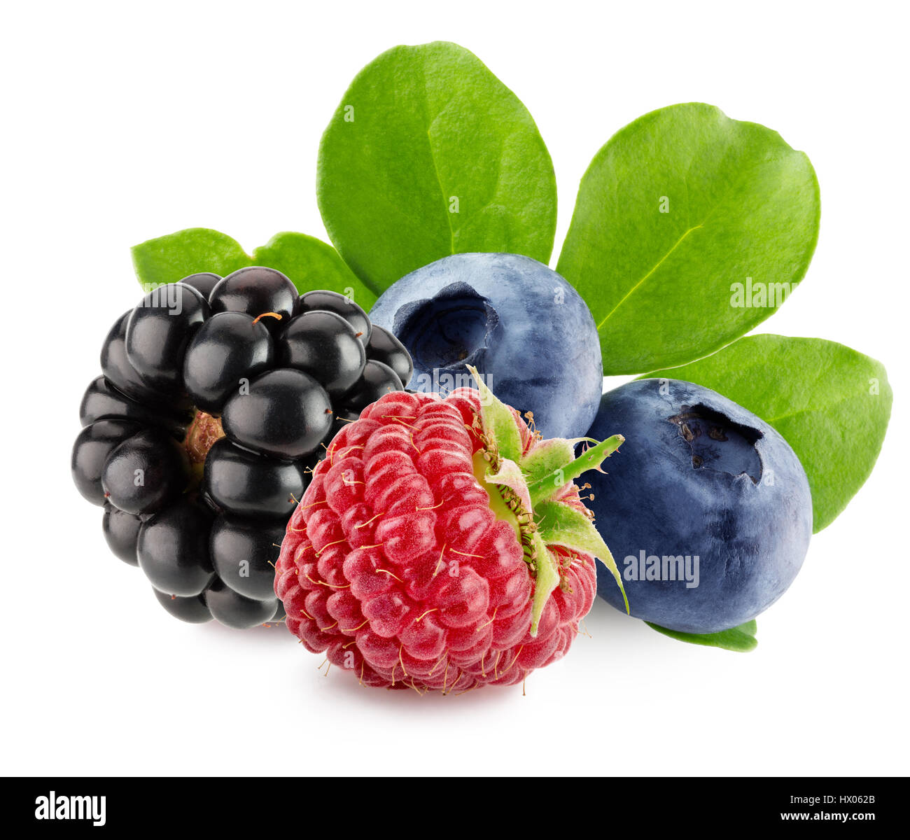 Les bleuets, framboises et blackberry isolé sur le fond blanc. Banque D'Images