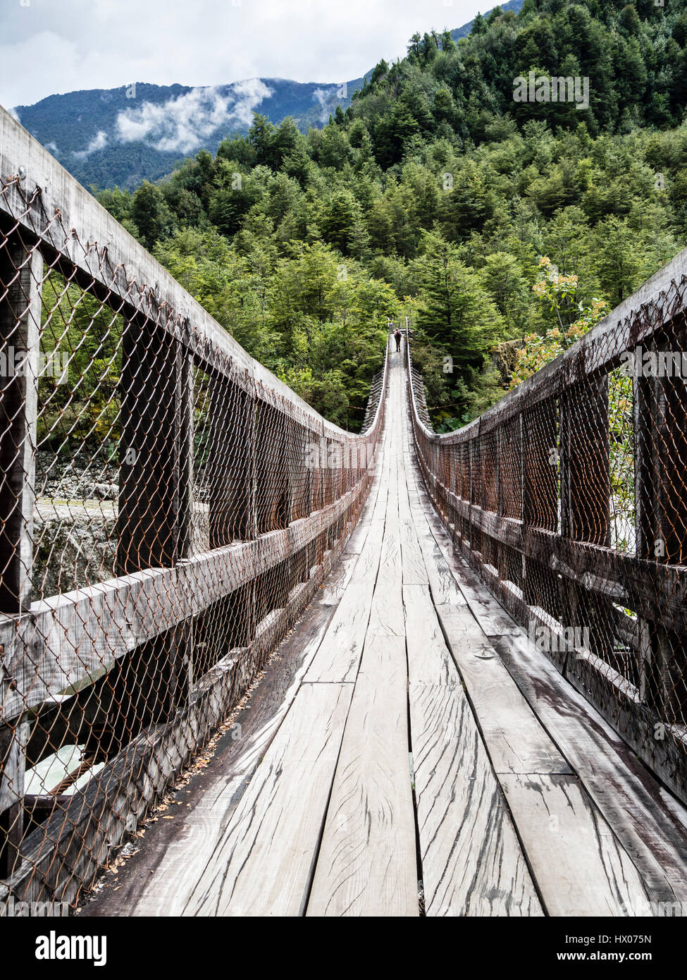 Pont suspendu sur le sentier de Ventisquero Colgante (vue sur glacier suspendu), Parc Quelat, près de Puyuhuapi, région de l'Aysen, Patagonie, Chili Banque D'Images