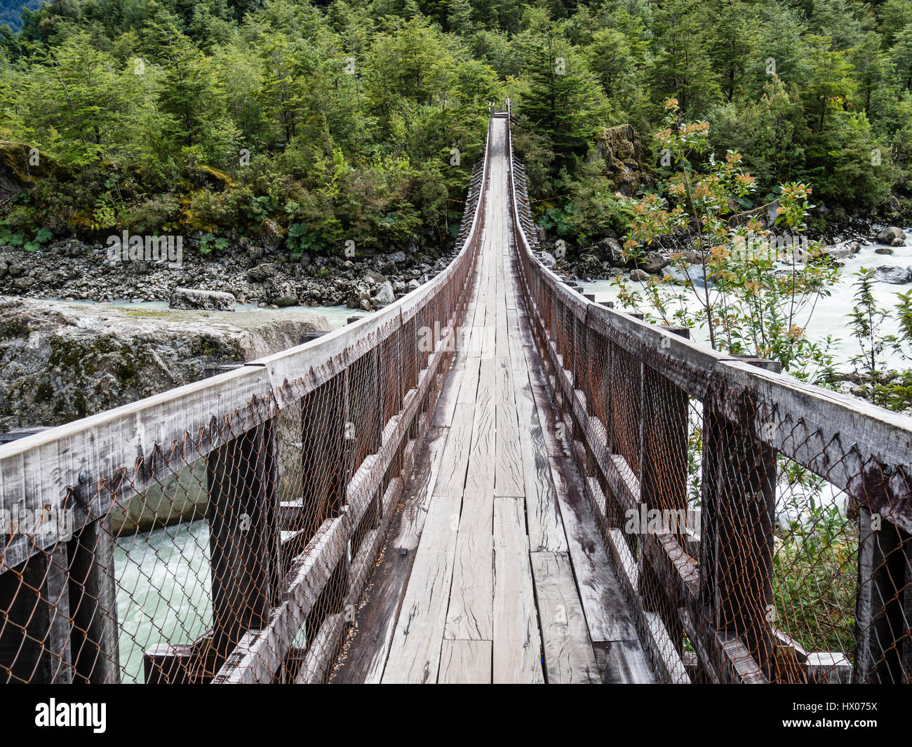 Pont suspendu sur le sentier de Ventisquero Colgante (vue sur glacier suspendu), Parc Quelat, près de Puyuhuapi, région de l'Aysen, Patagonie, Chili Banque D'Images