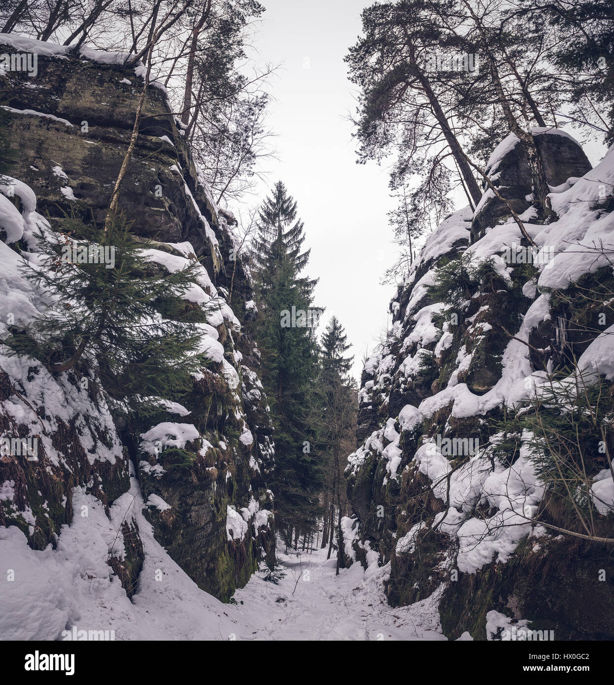 Sentier étroit entre les rochers et les sapins de la forêt en parc national Saechsische Schweiz - Suisse Saxonne Parc National, Allemagne Banque D'Images Sentier étroit entre les rochers et les sapins de la forêt en parc national Saechsische Schweiz - Suisse Saxonne Parc National, Allemagne Banque D'Images
