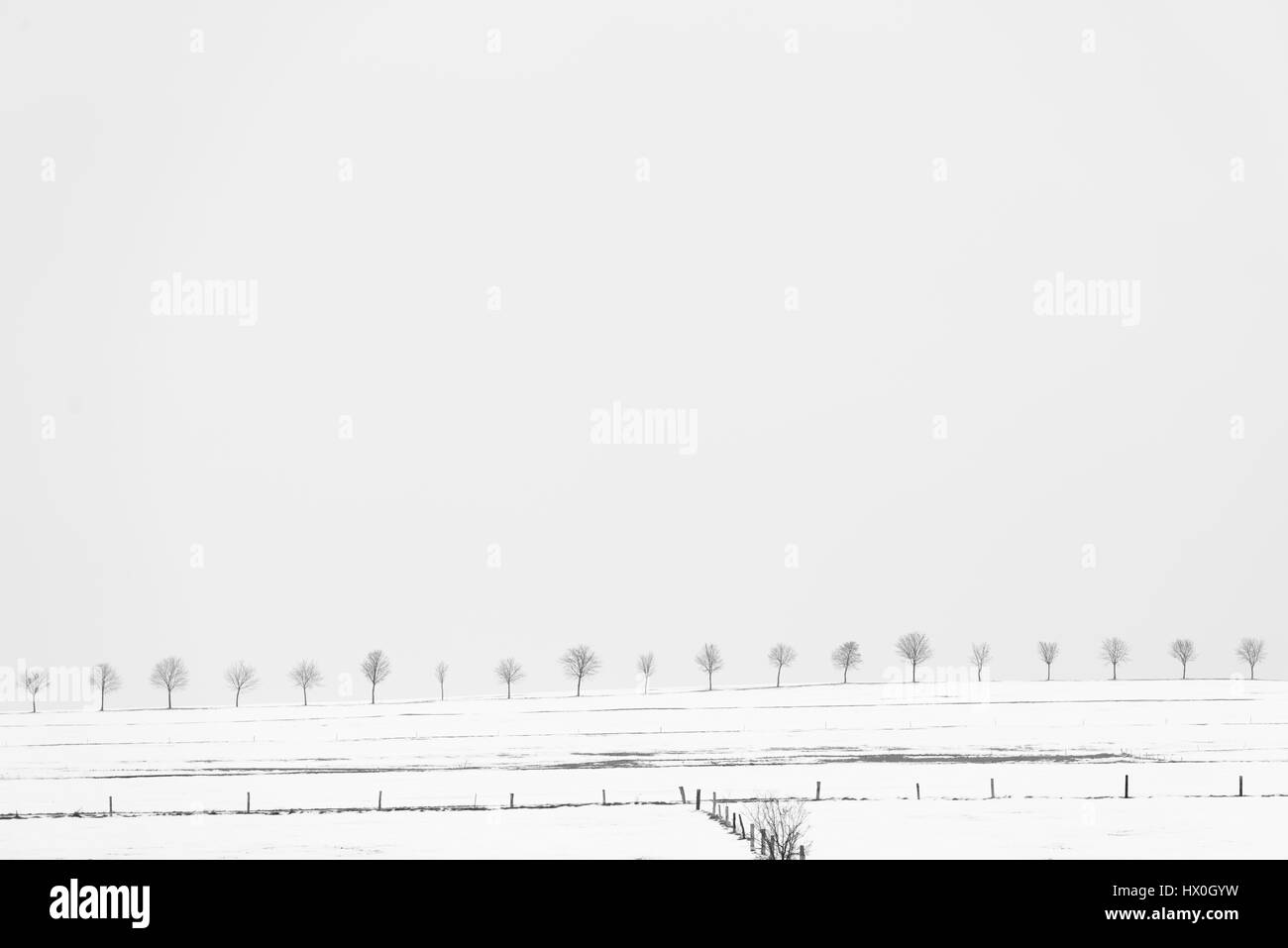 Noir et blanc minimaliste d'une vallée couverte de neige avec des rangées d'arbres Banque D'Images