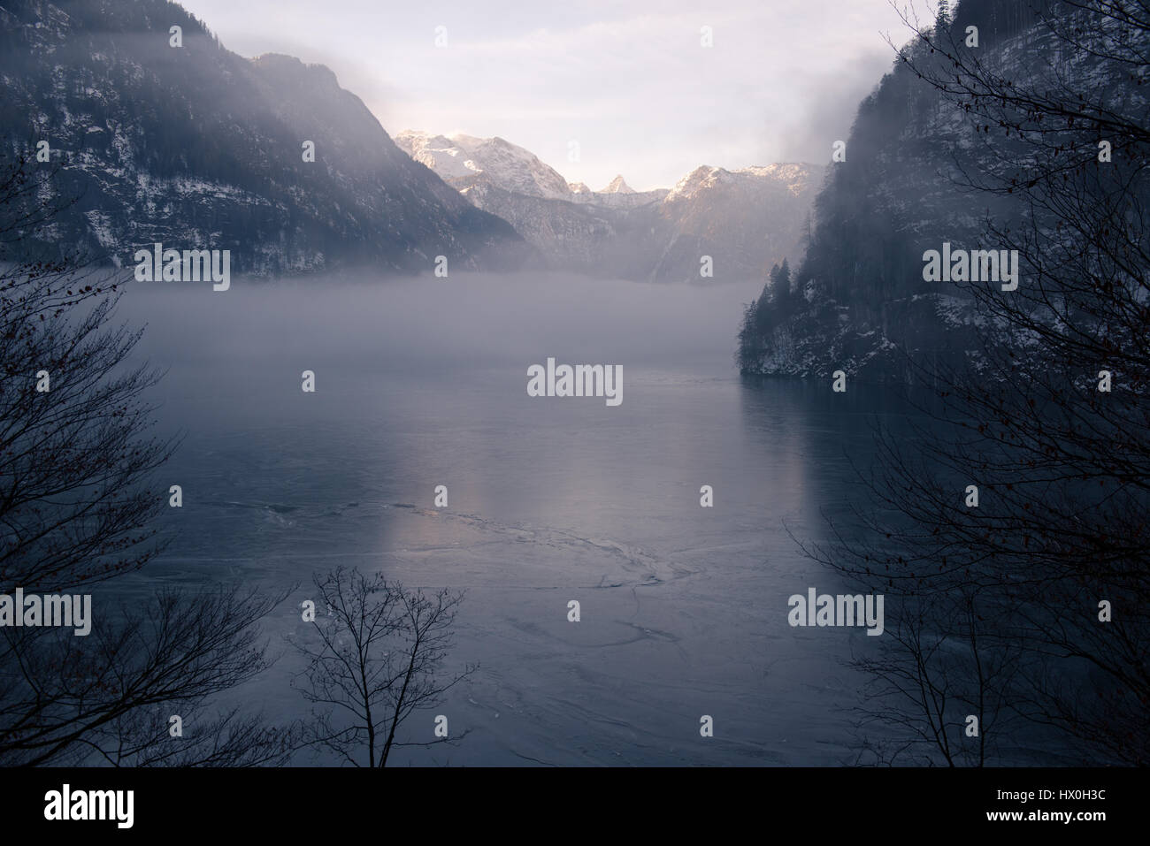 La rive du lac recouvert de sapin en treest matin brumeux, Königssee, Allemagne Banque D'Images La rive du lac recouvert de sapin en treest matin brumeux, Königssee, Allemagne Banque D'Images