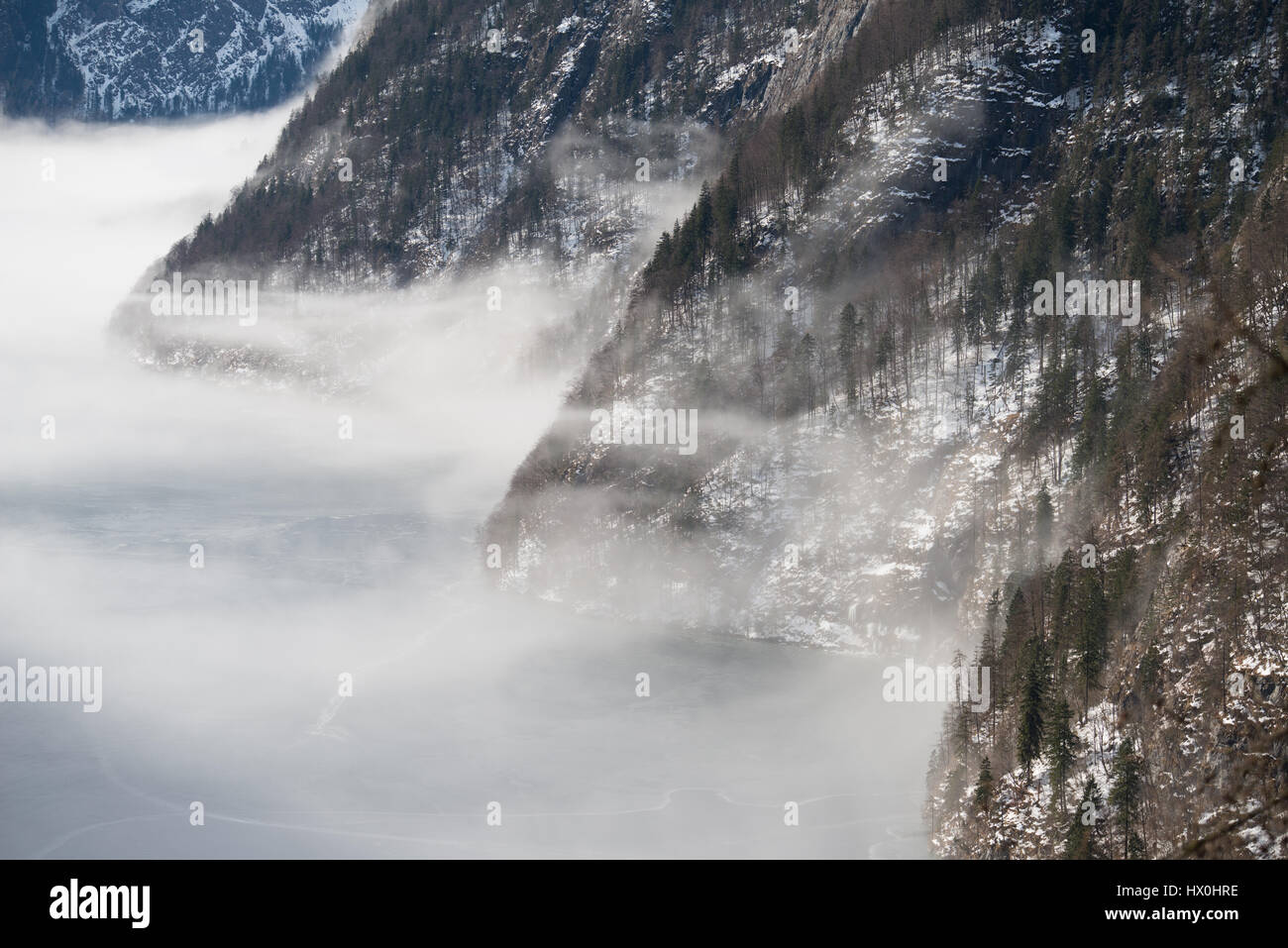 La rive du lac recouvert de sapin en treest matin brumeux, Königssee, Allemagne Banque D'Images La rive du lac recouvert de sapin en treest matin brumeux, Königssee, Allemagne Banque D'Images