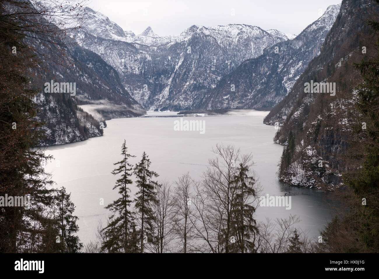 La rive du lac recouvert de sapin en treest matin brumeux, Königssee, Allemagne Banque D'Images La rive du lac recouvert de sapin en treest matin brumeux, Königssee, Allemagne Banque D'Images