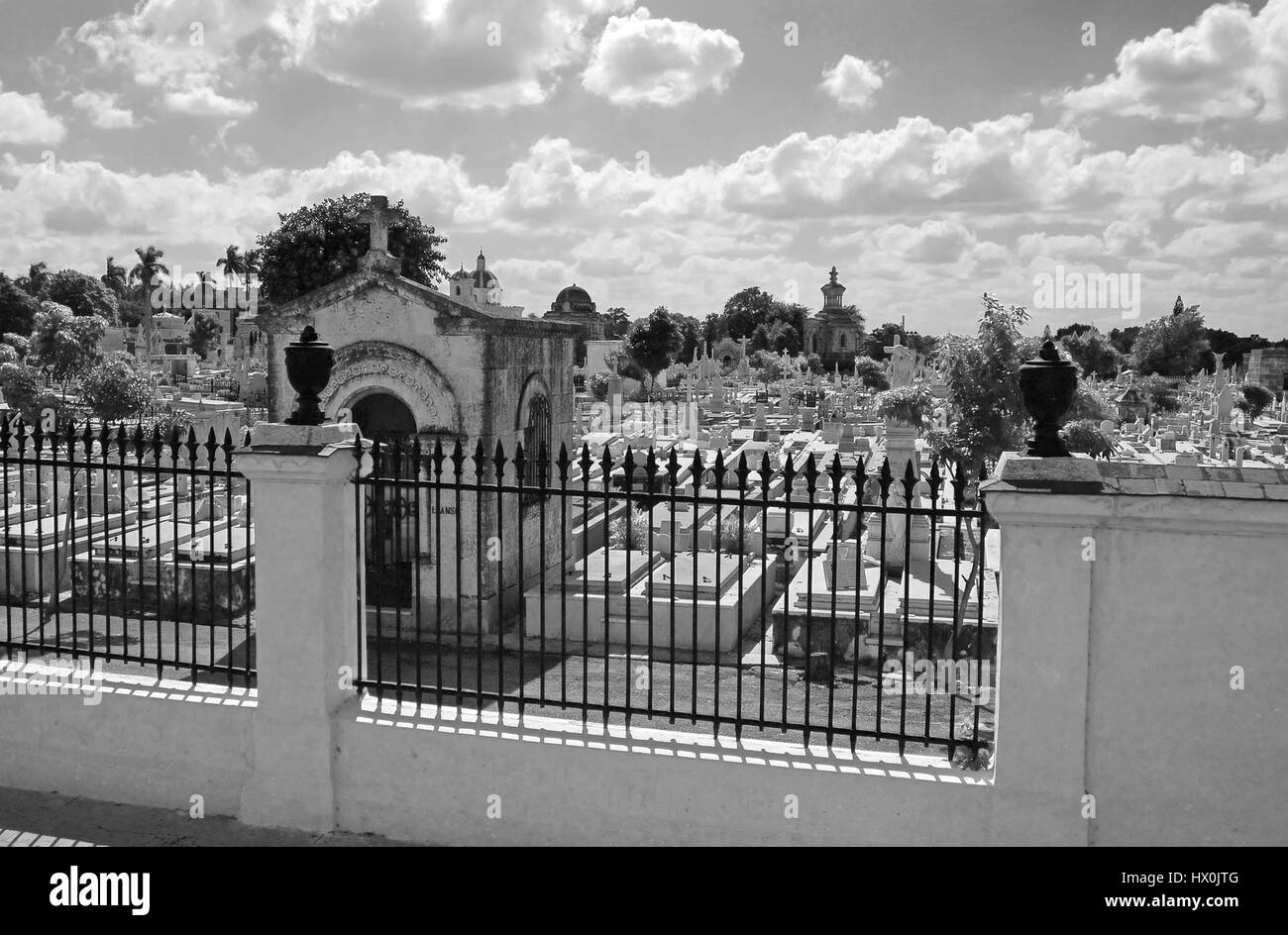 Cimetière Colon, Vedado, Ville de La Havane, Cuba Banque D'Images