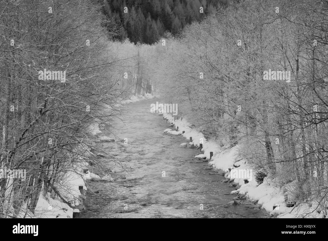 River in Val di vizze dans l'alto adige, entouré d'arbres givré Banque D'Images