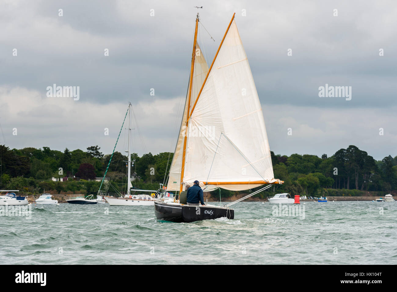 Golfe du Morbihan (Bretagne, Ouest France) : collecte de vieux navires à voile (Juin 2015) Banque D'Images