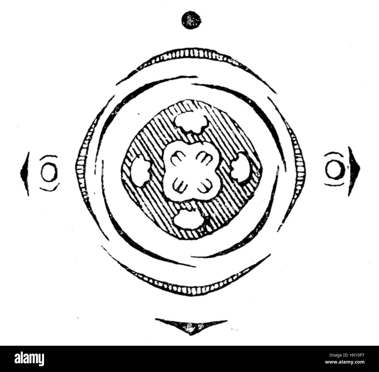 Le diagramme de *Evonymus europaea*, communément appelé arbre fuseau européen, montre en détail les fleurs et les feuilles de la plante. Cette étude botanique met en évidence l'identification de la plante et son rôle dans la flore européenne. Banque D'Images