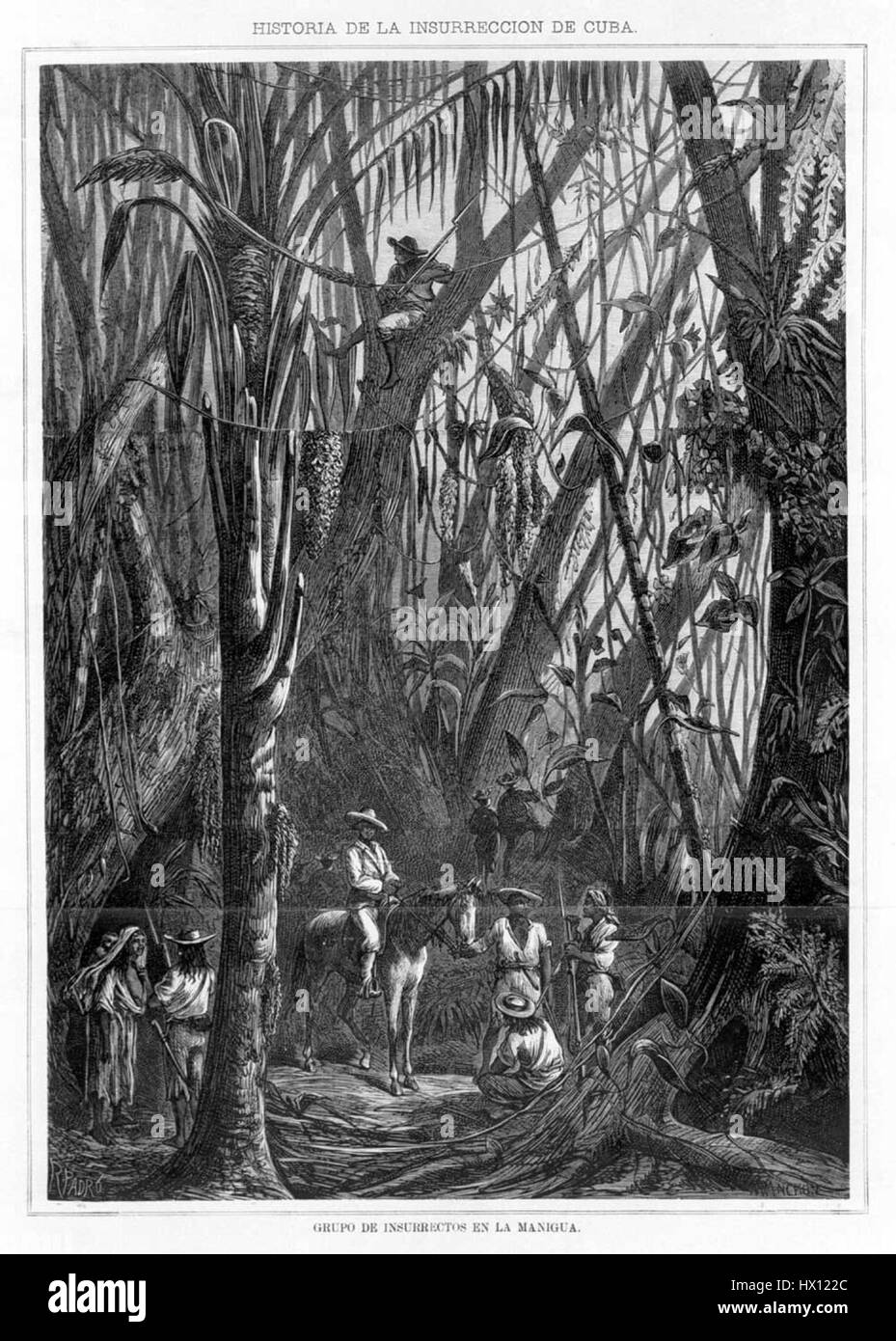 Les Mambises de Cuba étaient des combattants révolutionnaires pendant la guerre d’indépendance cubaine, souvent associés à la guérilla rurale dans la région de Manigua. Ces combattants ont joué un rôle crucial dans la lutte de Cuba contre la domination coloniale espagnole, symbolisant la résistance et l’indépendance. Banque D'Images