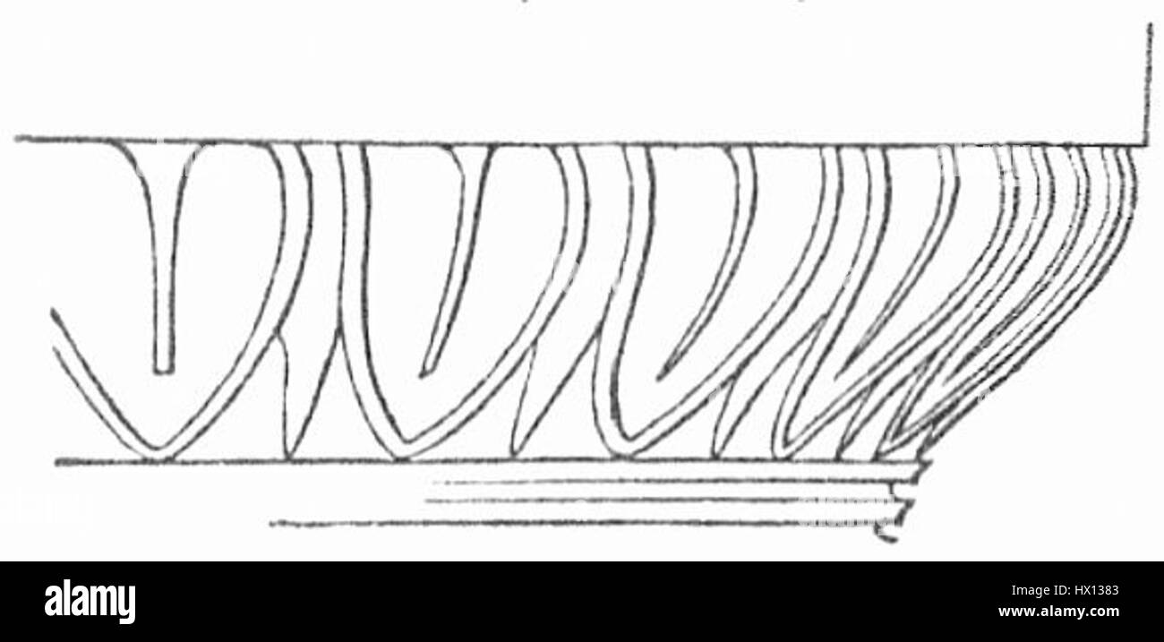 Echinuskyma est un genre d'organismes marins appartenant au phylum Echinodermata. Ces créatures se trouvent généralement dans des environnements de haute mer et sont caractérisées par leur structure corporelle unique et leur adaptation à l'écosystème marin. Ils contribuent à la biodiversité de la vie océanique. Banque D'Images