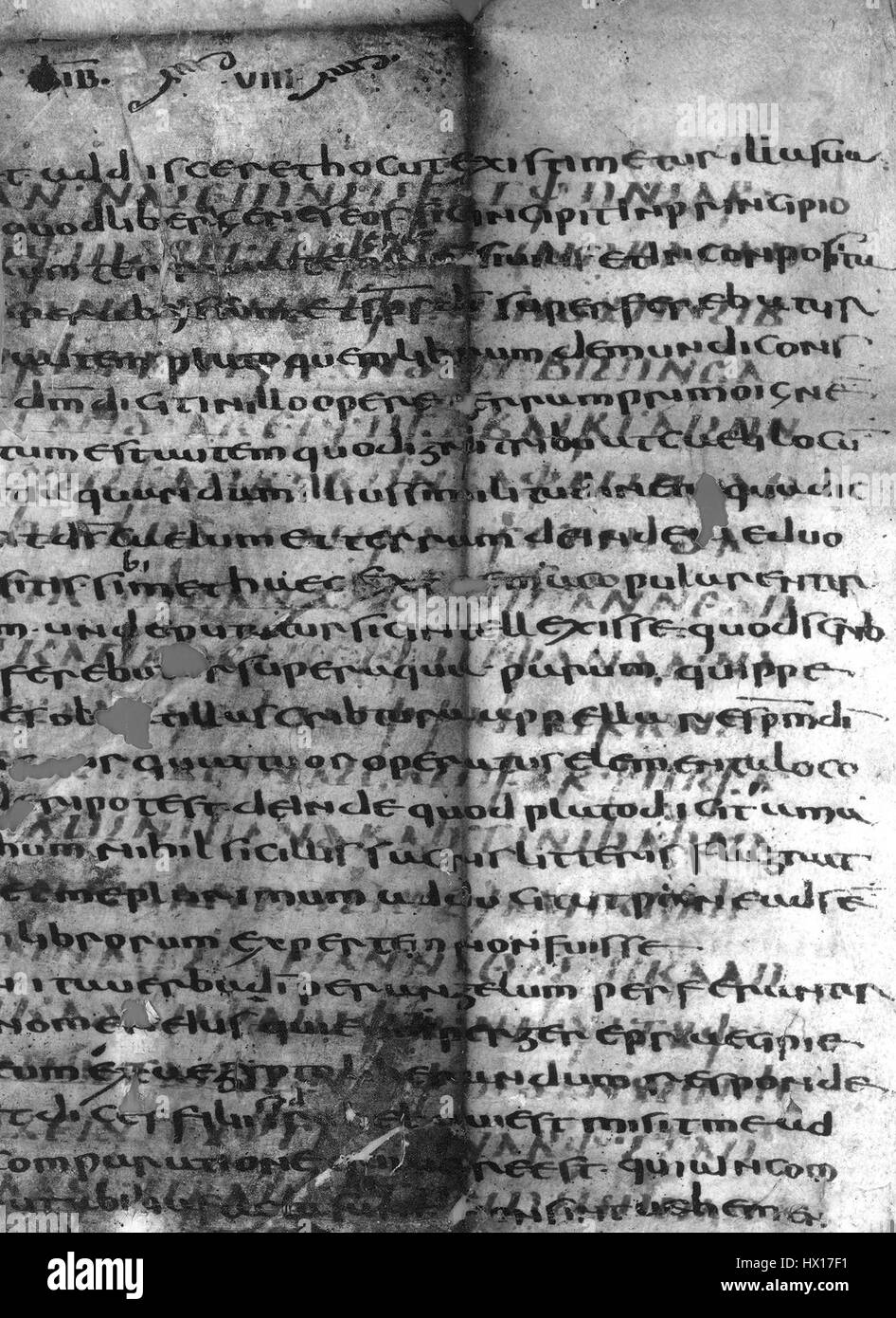 *Gothica Boroniensia* est un terme faisant référence à une collection ou un mouvement artistique ancré dans le style gothique. Il représente l'art et l'architecture gothiques, typiquement de la fin de la période médiévale, avec des conceptions complexes et des structures en pleine ascension, mettant l'accent sur la verticalité et l'ornementation. Banque D'Images