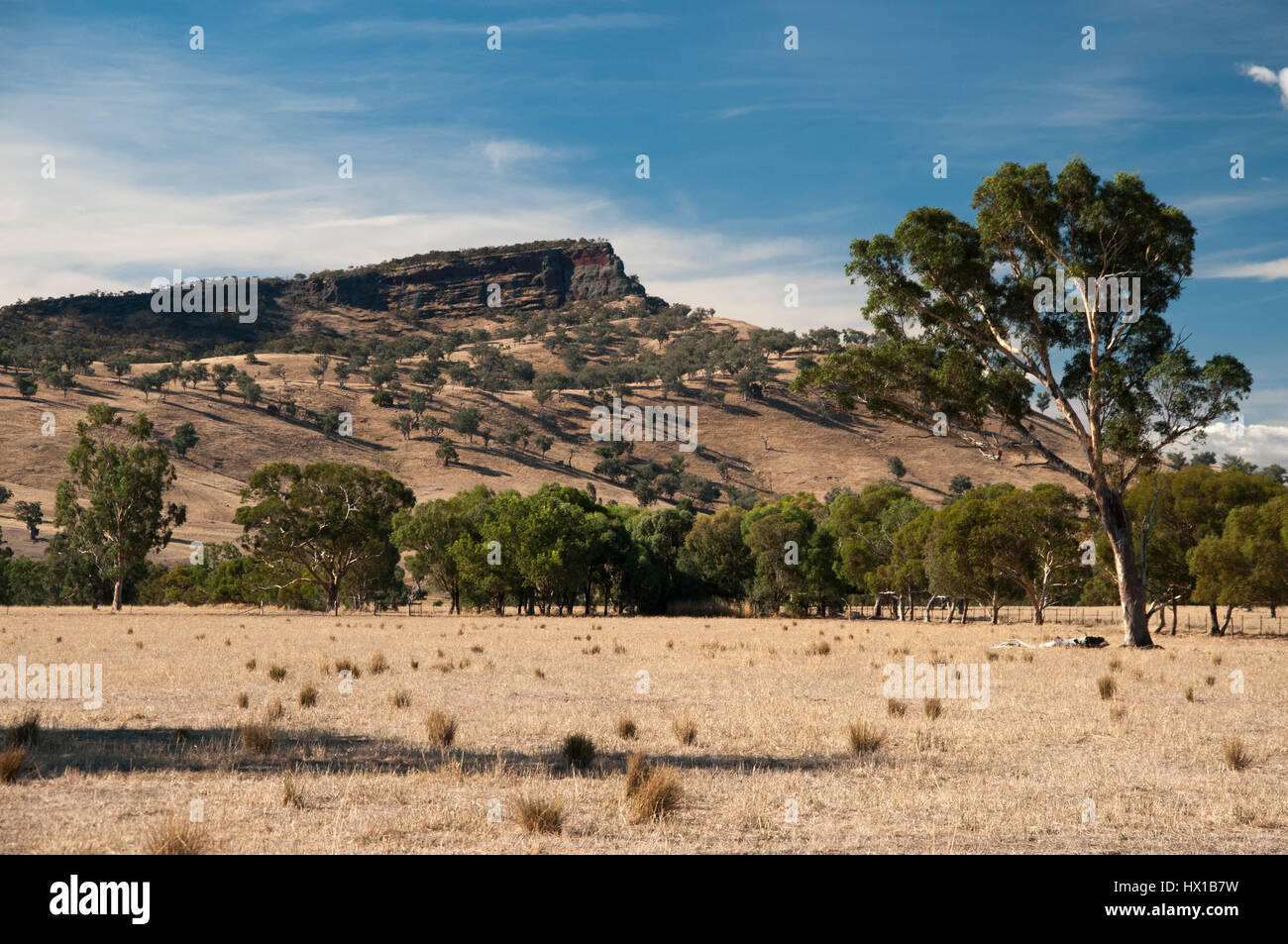 Hume Highway, road trip, Australie : paysage pastoral à l'extérieur de la Table Albury sur la rivière Murray, Nouvelle Galles du Sud Banque D'Images