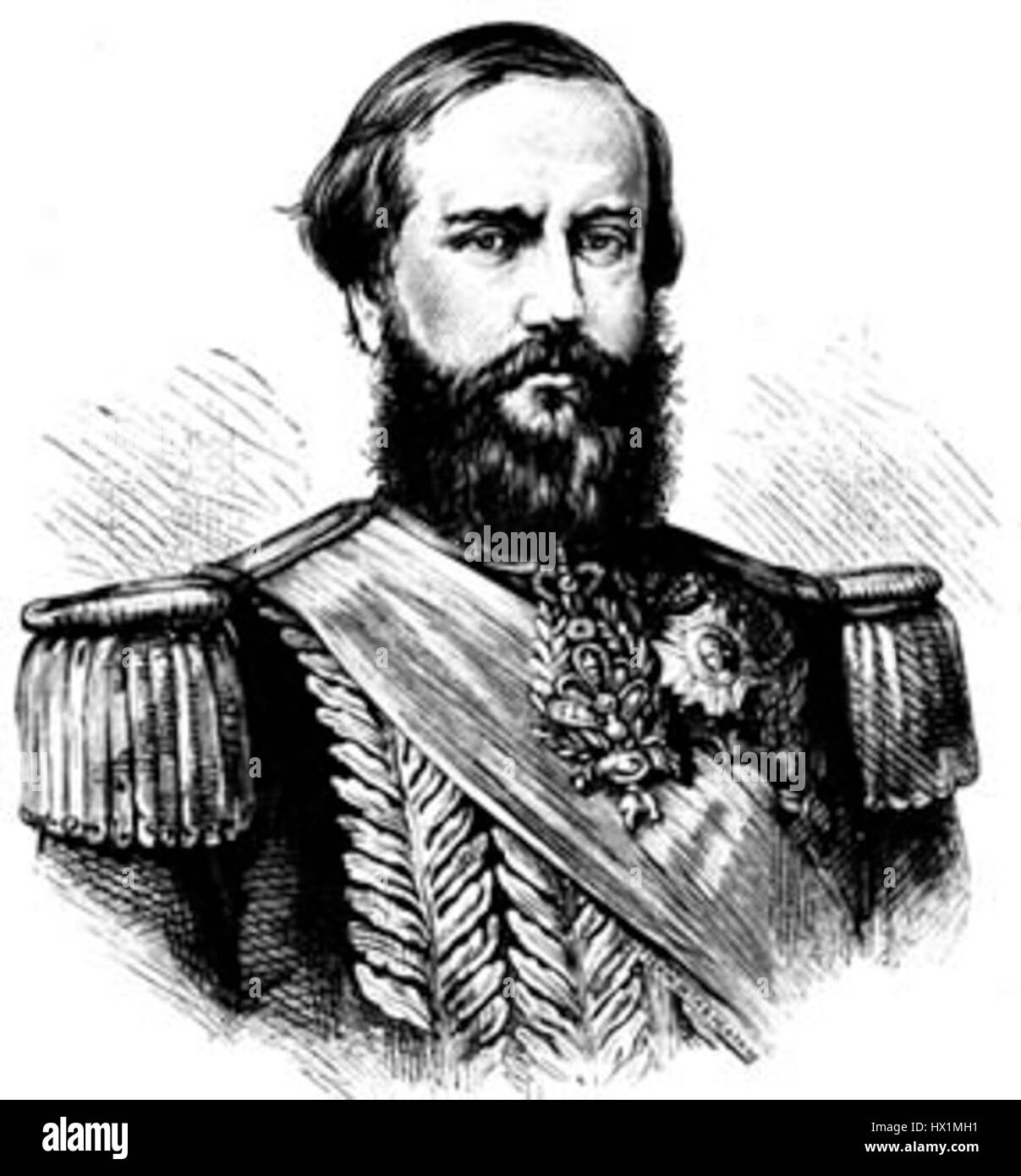 Dom Pedro II fut empereur du Brésil de 1831 à 1889, connu pour ses contributions à la science, à la culture et à l'abolition de l'esclavage. Ce portrait capture sa dignité impériale et son esprit d'État pendant son règne. Banque D'Images