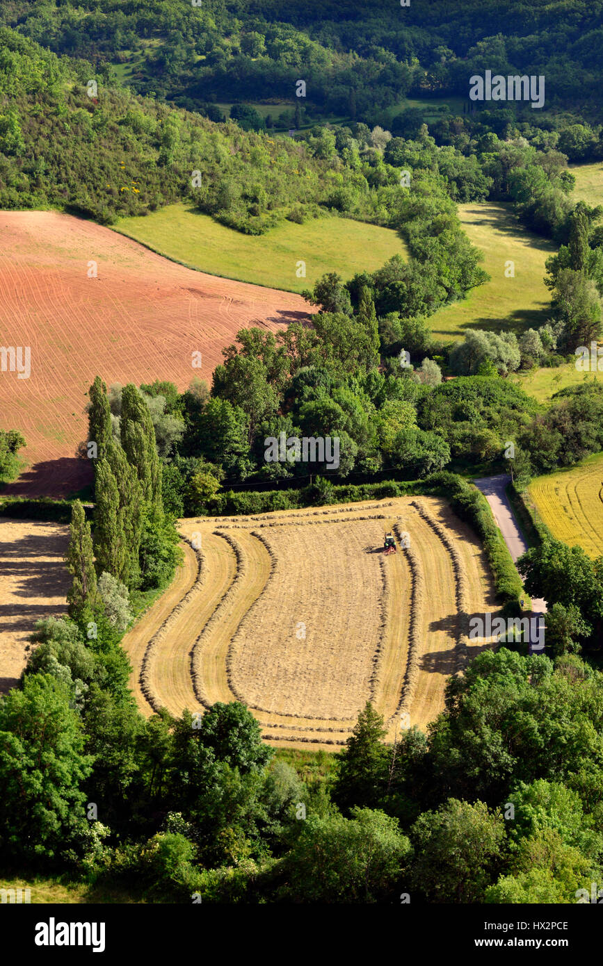 La récolte d'été et du tracteur à Cordes-sur-Ciel, Occitanie, France. Banque D'Images