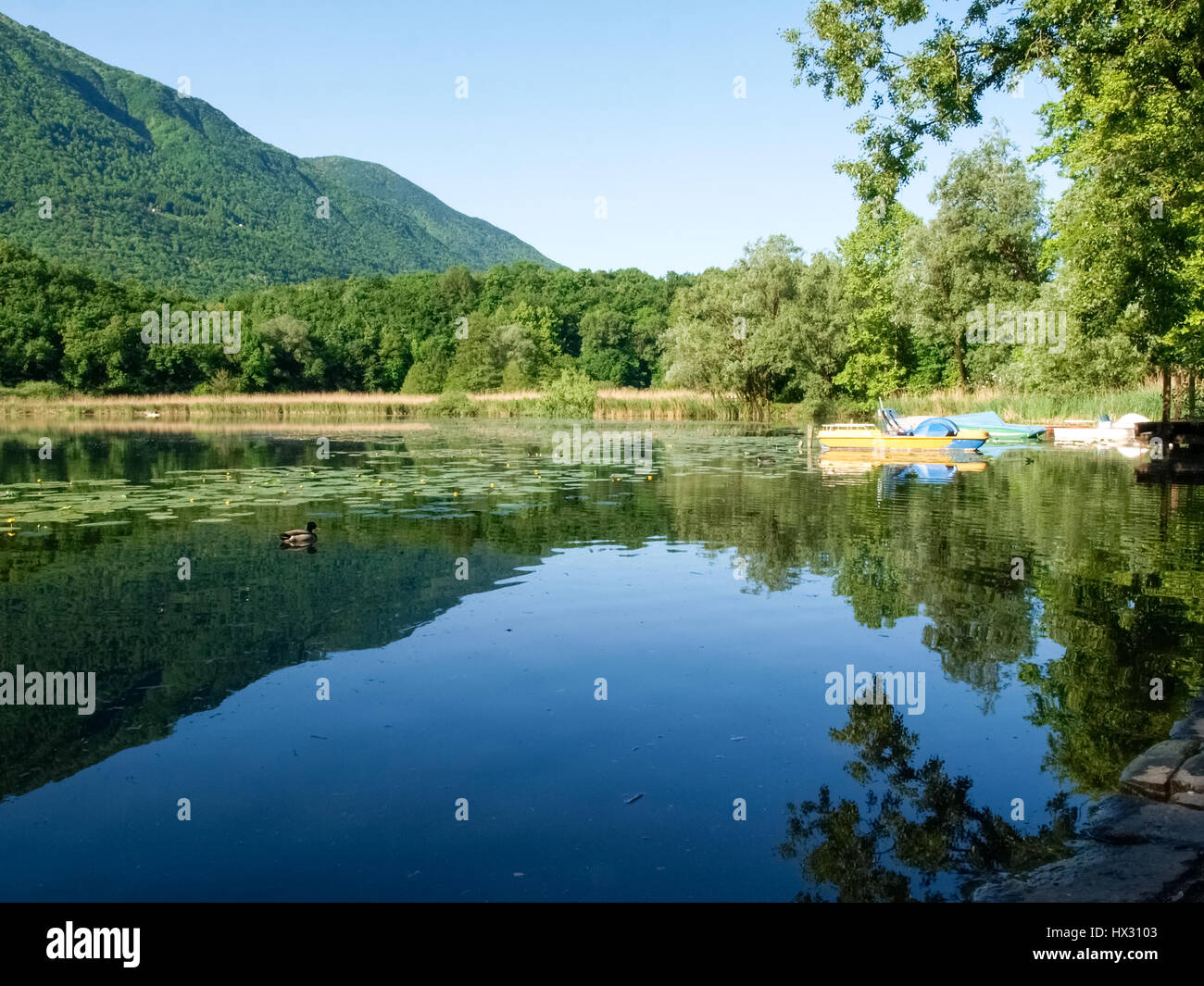 Carlazzo, Italie : Lac Piano est un petit lac situé dans le Val Menaggio. Il a une superficie de 0,72 km2 et une profondeur maximale de 13 mètres et occupe la Banque D'Images