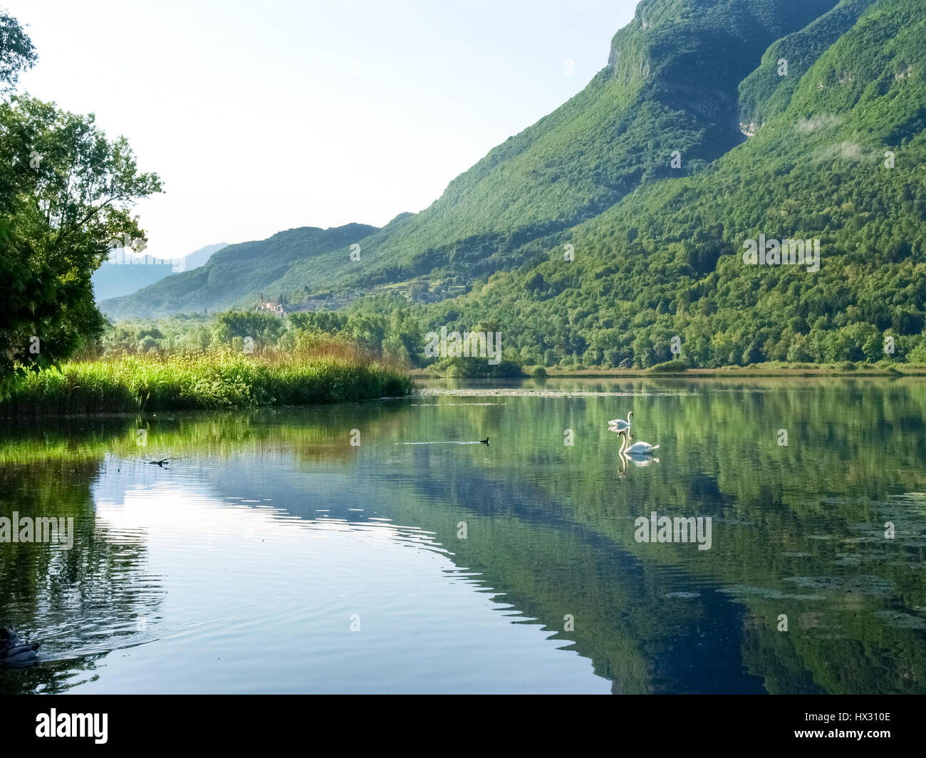 Carlazzo, Italie : Lac Piano est un petit lac situé dans le Val Menaggio. Il a une superficie de 0,72 km2 et une profondeur maximale de 13 mètres et occupe la Banque D'Images