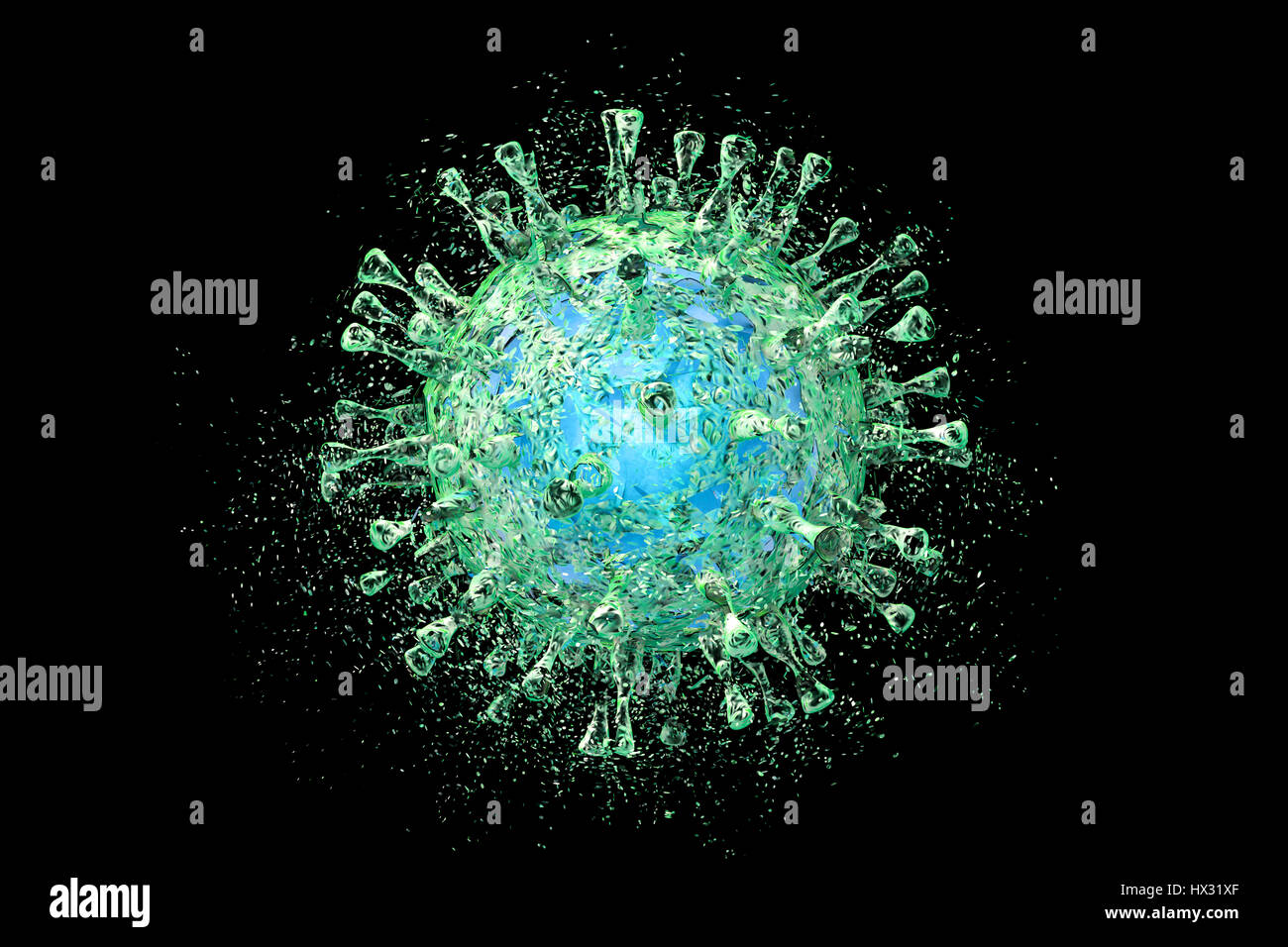 La destruction du cytomégalovirus humain (CMVH), illustration de l'ordinateur. Image conceptuelle pour l'infection par le CMVH Traitement et prévention. Le CMVH est membre de la famille des Herpesviridae. Il a un très haut taux d'infection et est l'une des principales causes de maladie dans les nouveau-nés vulnérables et les patients immunodéprimés, mais n'a pas l'habitude de causer la maladie chez les adultes en bonne santé. Banque D'Images