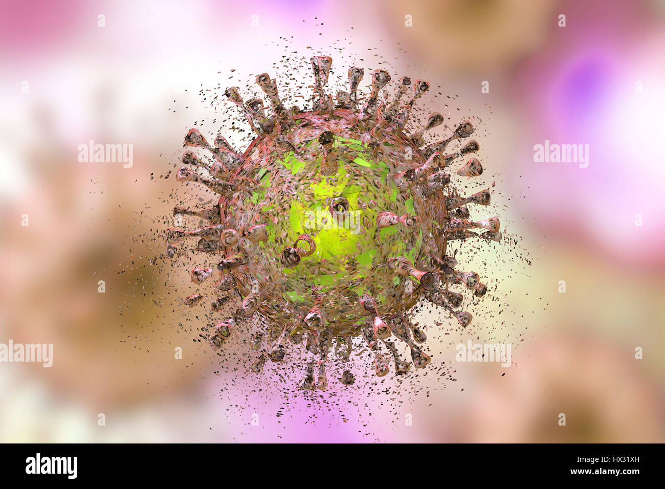 La destruction du cytomégalovirus humain (CMVH), illustration de l'ordinateur. Image conceptuelle pour l'infection par le CMVH Traitement et prévention. Le CMVH est membre de la famille des Herpesviridae. Il a un très haut taux d'infection et est l'une des principales causes de maladie dans les nouveau-nés vulnérables et les patients immunodéprimés, mais n'a pas l'habitude de causer la maladie chez les adultes en bonne santé. Banque D'Images
