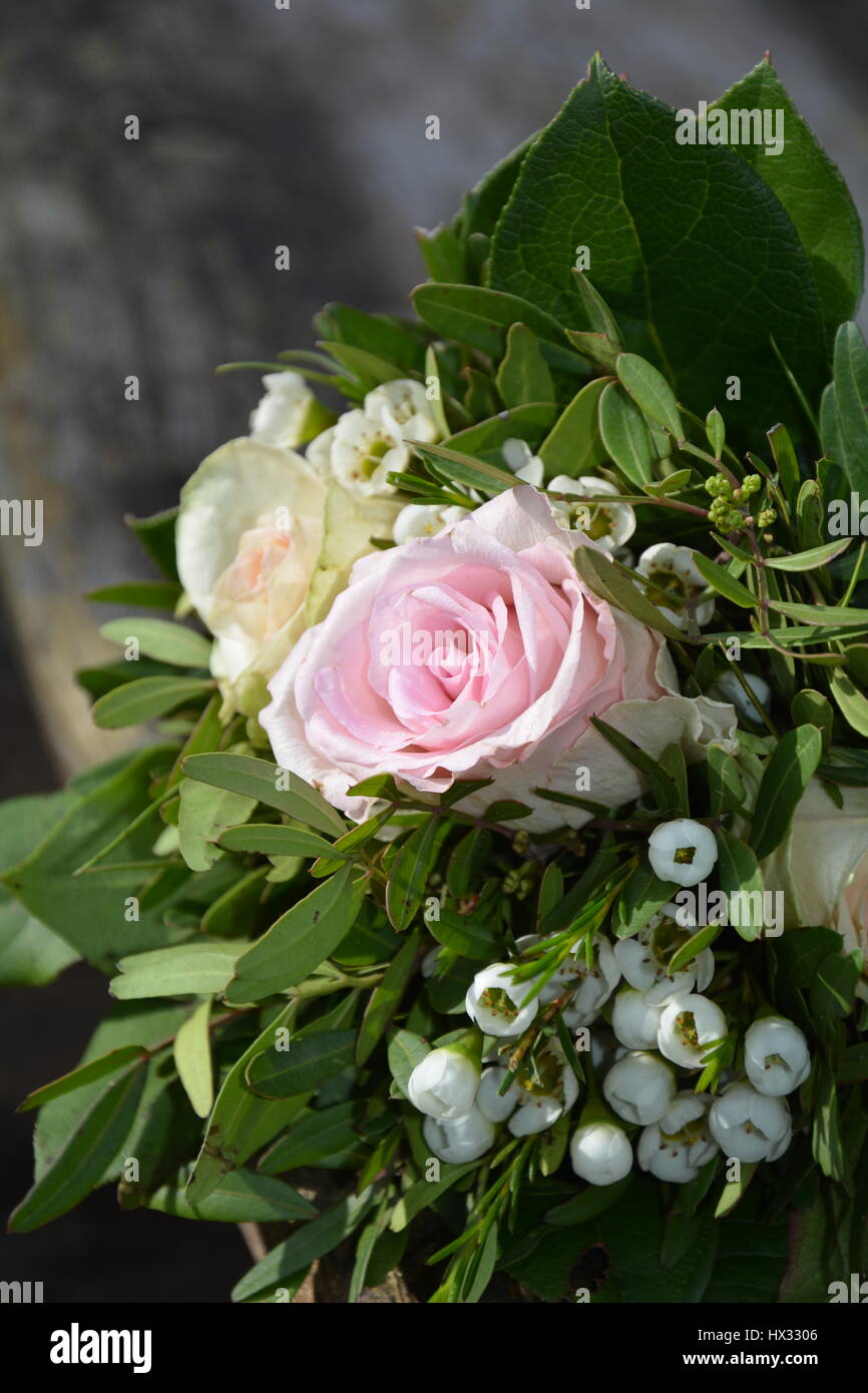 Roses - Bouquet Banque D'Images