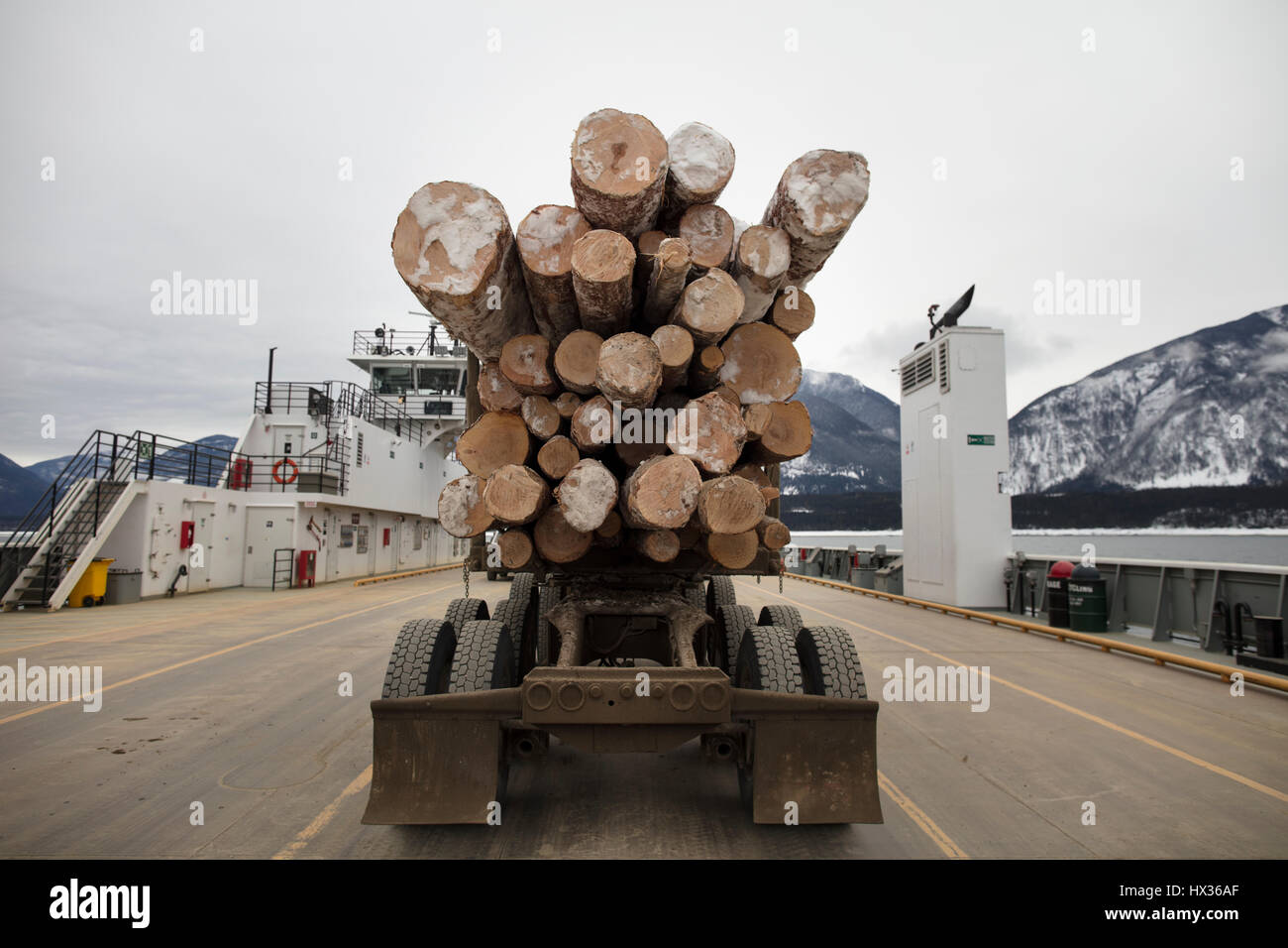 SHELTER BAY, BC, Canada - Février 03, 2017 : Un camion transportant des journaux sur un ferry de Shelter Bay, Colombie-Britannique, Canada. ( Ryan Carter ) Banque D'Images