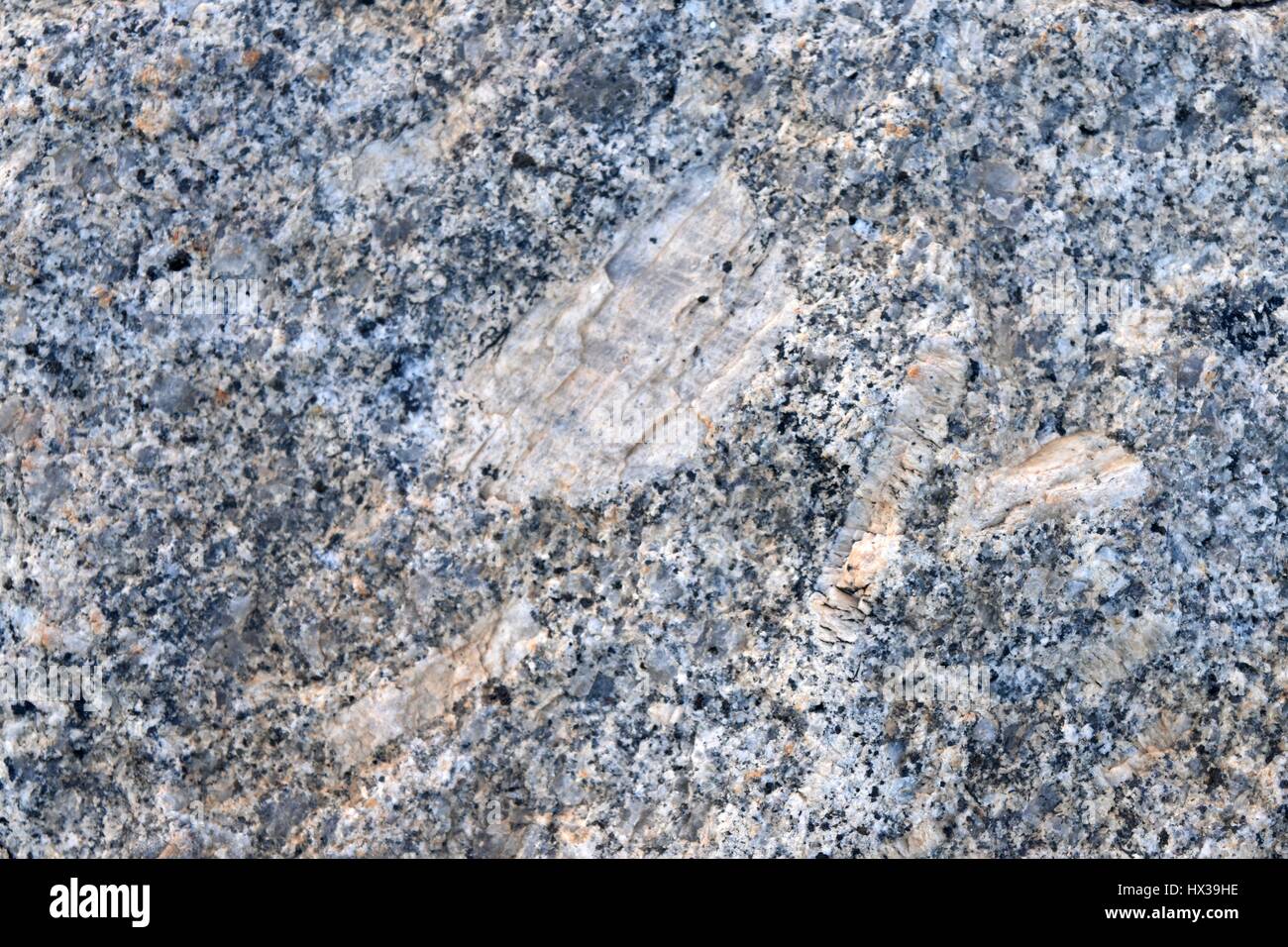 Un bloc de granit gris Dartmoor, montrant de gros cristaux de feldspath et de plus petites de quartz et mica Banque D'Images