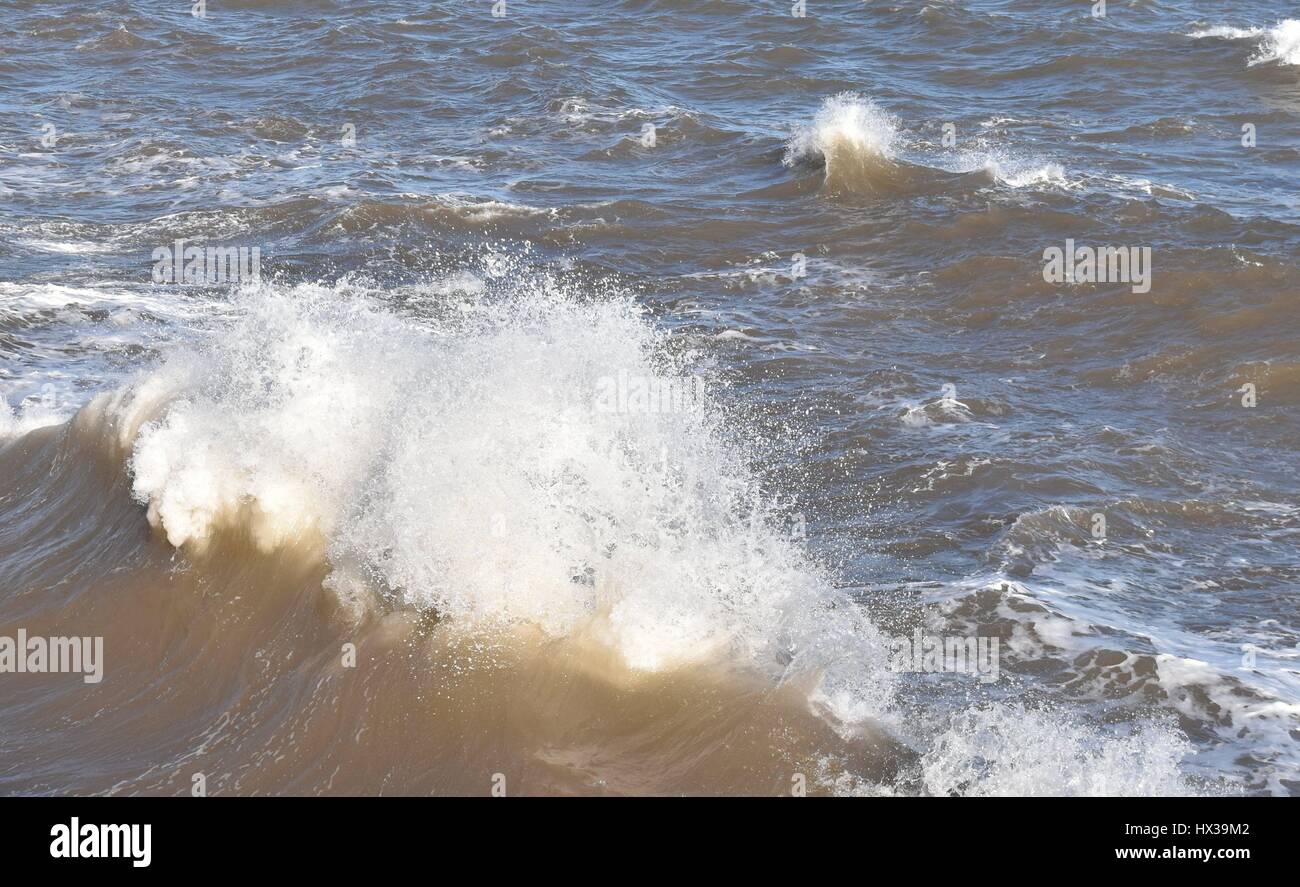 Vagues 1 Banque D'Images