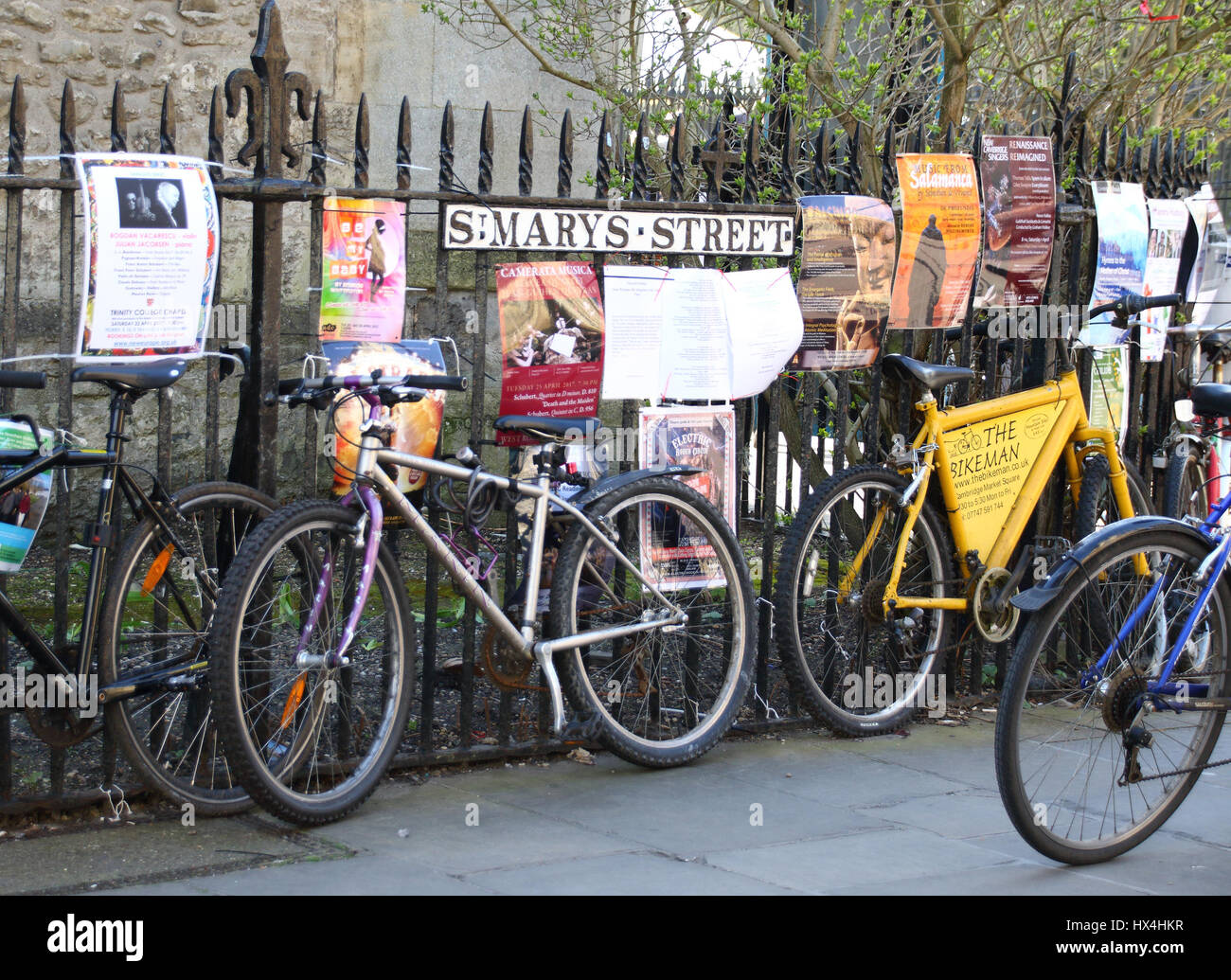 Cambridge, UK. Mar 25, 2017. Beau Soleil du printemps fait sortir les touristes sur une chaude journée à Cambridge, Royaume-Uni. Samedi 25 mars 2017 Credit : KEITH MAYHEW/Alamy Live News Banque D'Images