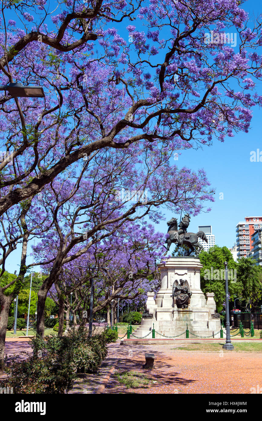 Jacaranda arbres en fleur au printemps. Plaza Italia, Palerme, Buenos Aires, Argentine. Banque D'Images