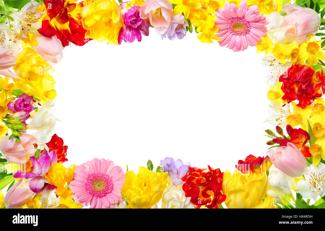 Cadre de fleurs de printemps colorés sur fond blanc, une très bonne et jolie décoration pour votre texte ou dessin Banque D'Images
