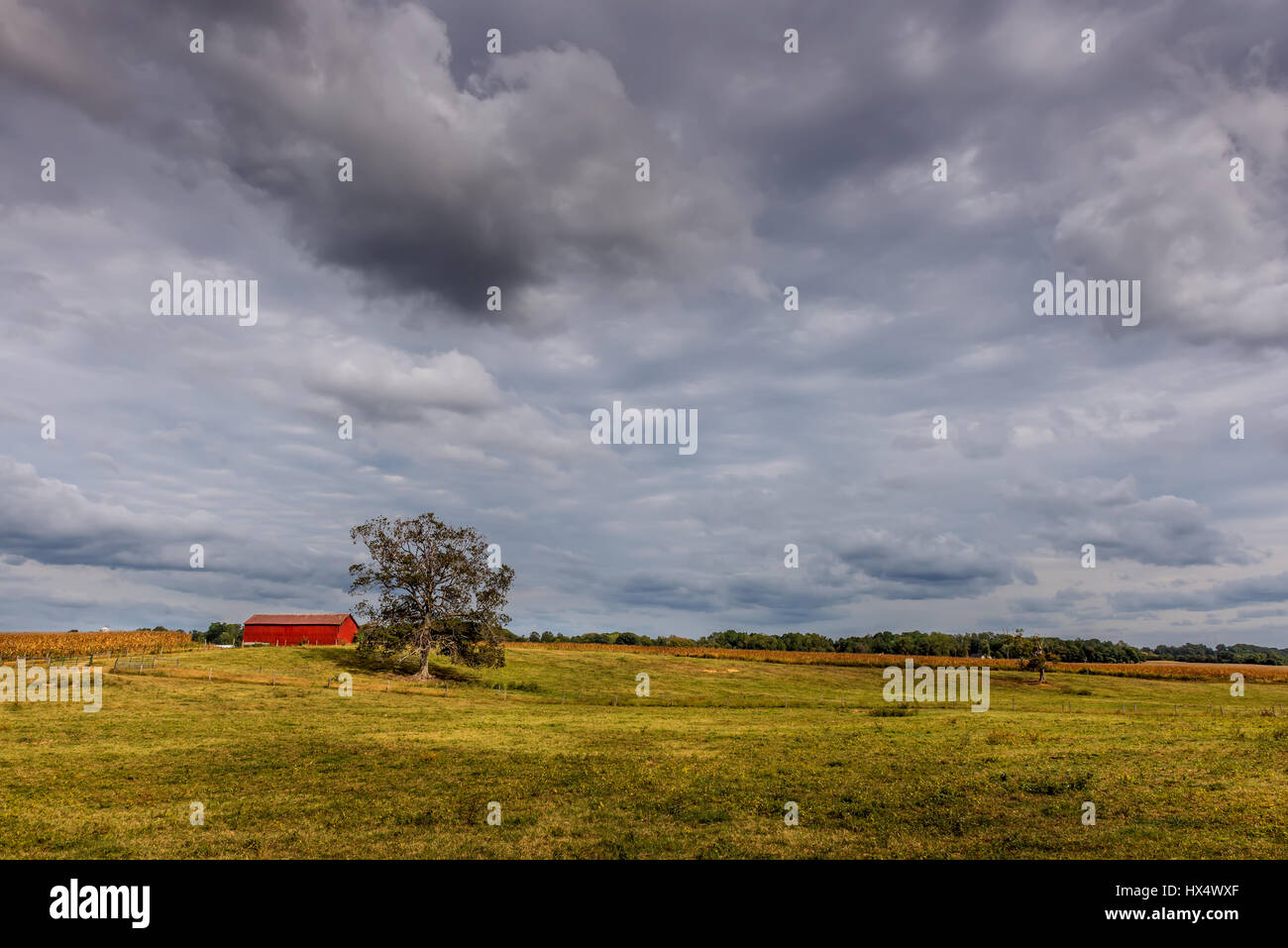 Ferme du Maryland au début de l'automne avec grange rouge et chêne Banque D'Images