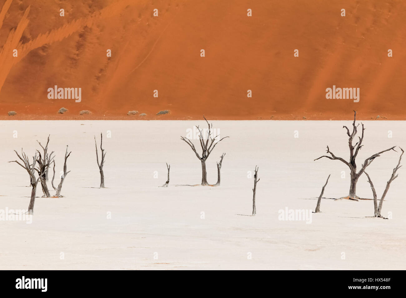 Les arbres morts et les dunes dans un marais salant du désert du namib. Banque D'Images