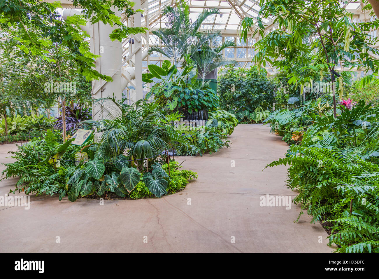 L'intérieur de l'atmosphère Tropical Gardens de Cecil B jour Centre Papillon Callaway Gardens, la Géorgie. Banque D'Images