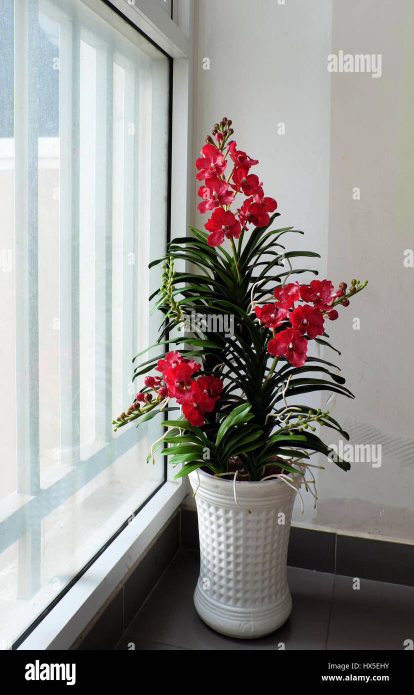 Produit artisanal de l'élégance, l'art d'argile pot orchidée Vanda sur fond  blanc, belle fleur pour décor à la maison avec pétale rouge, vert feuille à  partir de l'argile Photo Stock - Alamy