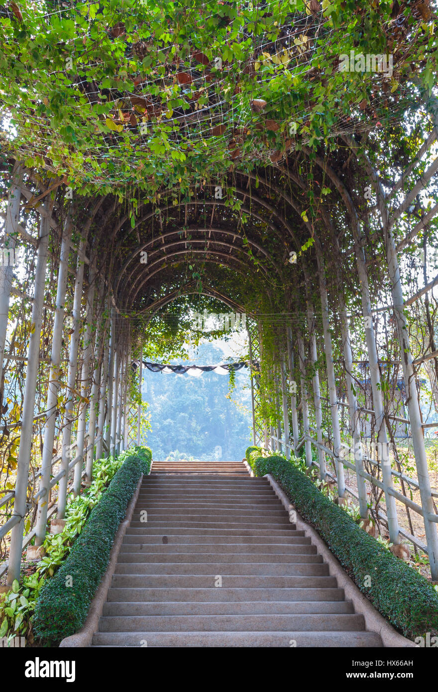 Des plantes en plein air Arch Tunnel avec escaliers en béton Banque D'Images