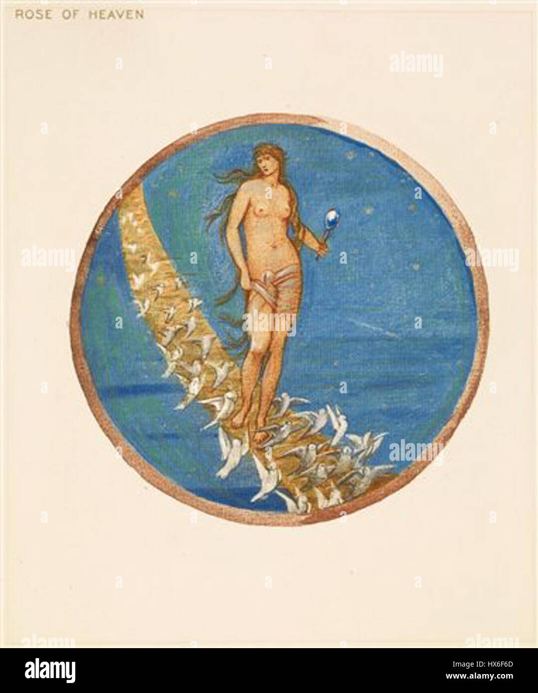 'The Flower Book : Rose of Heaven' est une référence botanique qui met en valeur la Rose of Heaven, une variété de roses prisée pour sa beauté délicate et son symbolisme. Ce livre documente les caractéristiques, les origines et l'importance culturelle de la plante dans le jardinage et l'horticulture ornementale. Banque D'Images