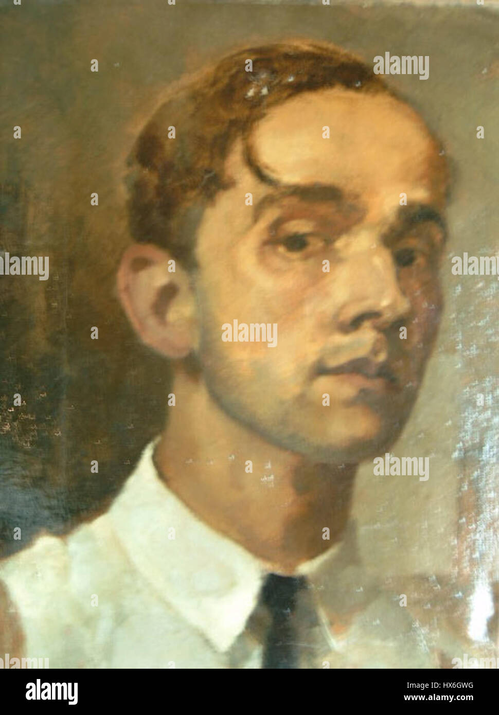 'Zelfportret' de Han van der Kop est un autoportrait reflétant l'exploration de l'identité personnelle et de l'expression artistique de l'artiste. L’œuvre démontre la technique et l’approche de van der Kop à l’auto-représentation par le biais de visuels intégrés Banque D'Images