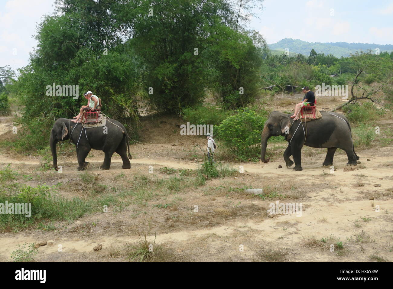 Les éléphants sont porteurs d'un touristiques sièges en bois avec des tapis sur le dos, avec une corde fixe pour les jambes et la queue au Safari park en Thaïlande Banque D'Images