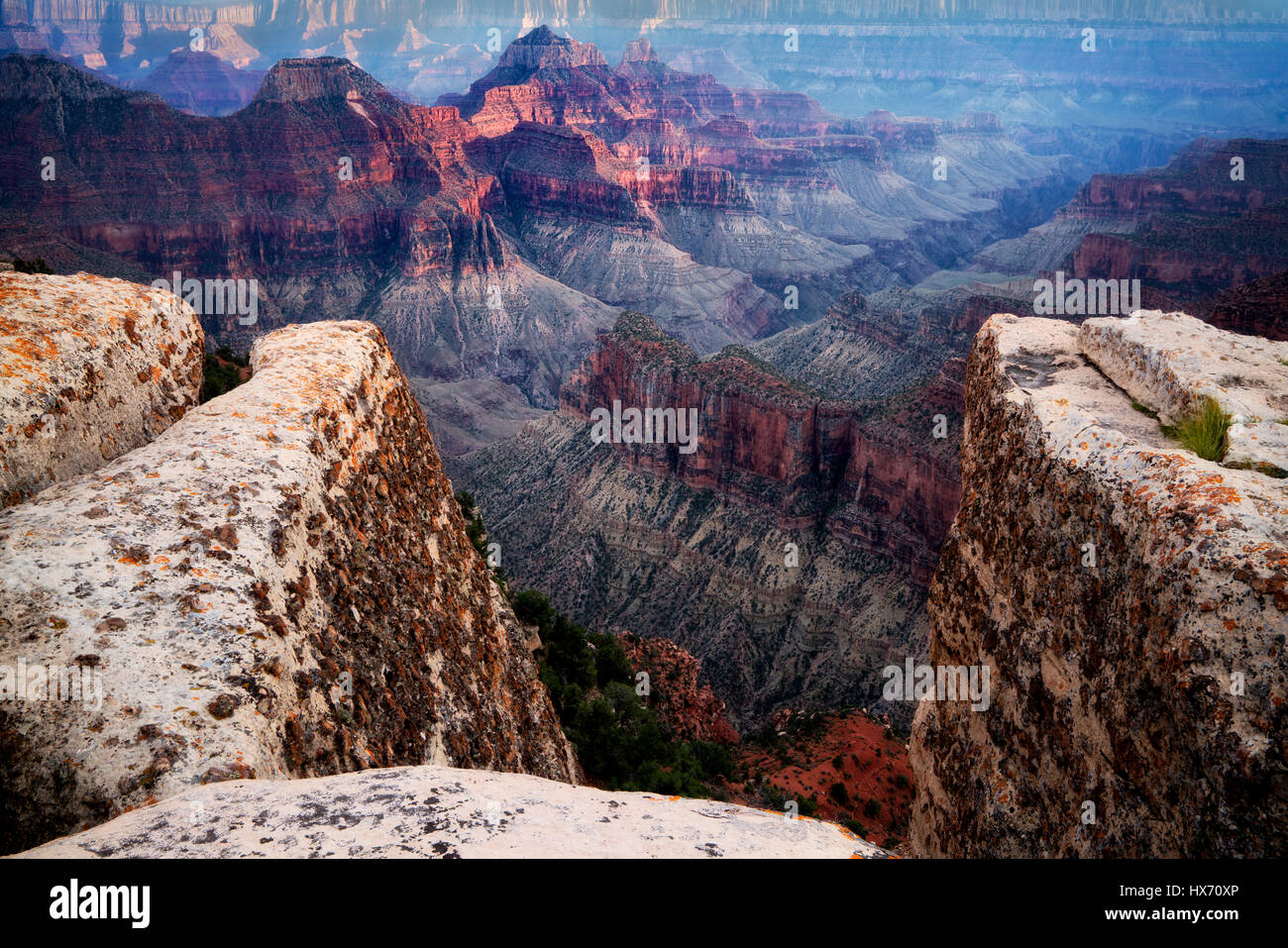 Vue du Grand Canyon de Bright Angel Point. North Rim du Grand Canyon National Park, Arizona Banque D'Images