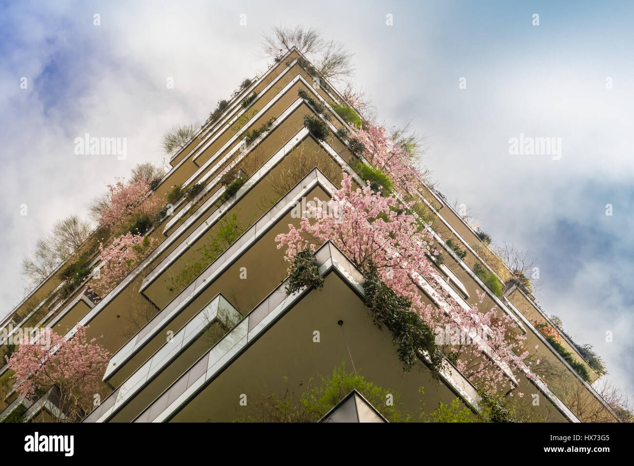 Eco Construction moderne et rapide des nuages dans le printemps avec les cerisiers Rose Banque D'Images