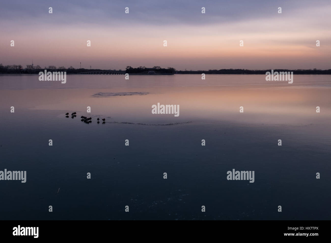 Au repos des oiseaux sur le lac en Chine Banque D'Images