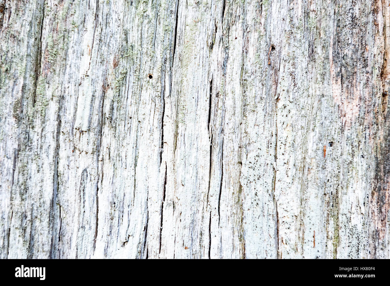 Weathered rugueux texture obsolètes fissuré fond de bois Banque D'Images