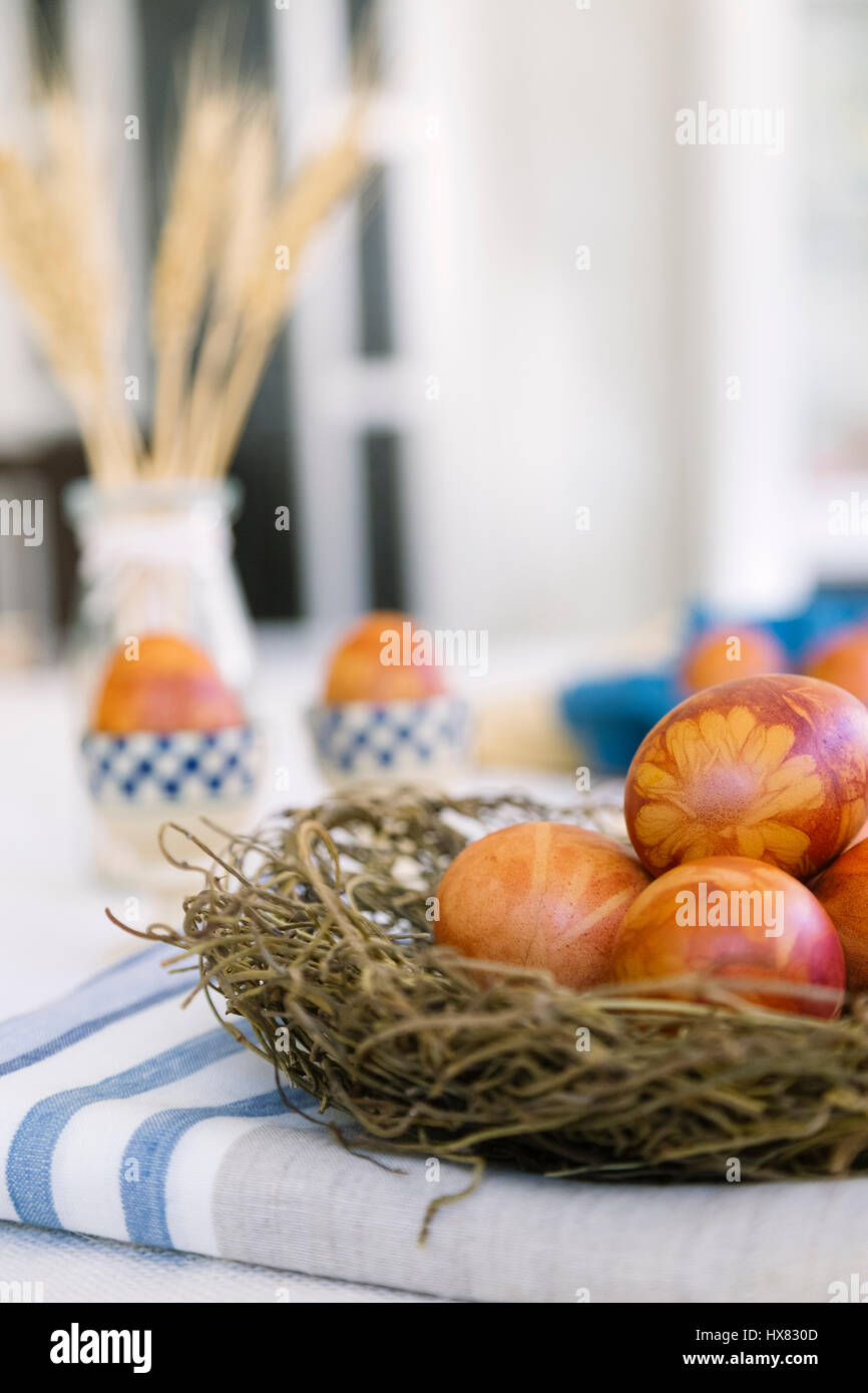 Les oeufs de Pâques teints traditionnellement à l'aide de peaux d'oignon, fleurs et plantes Banque D'Images