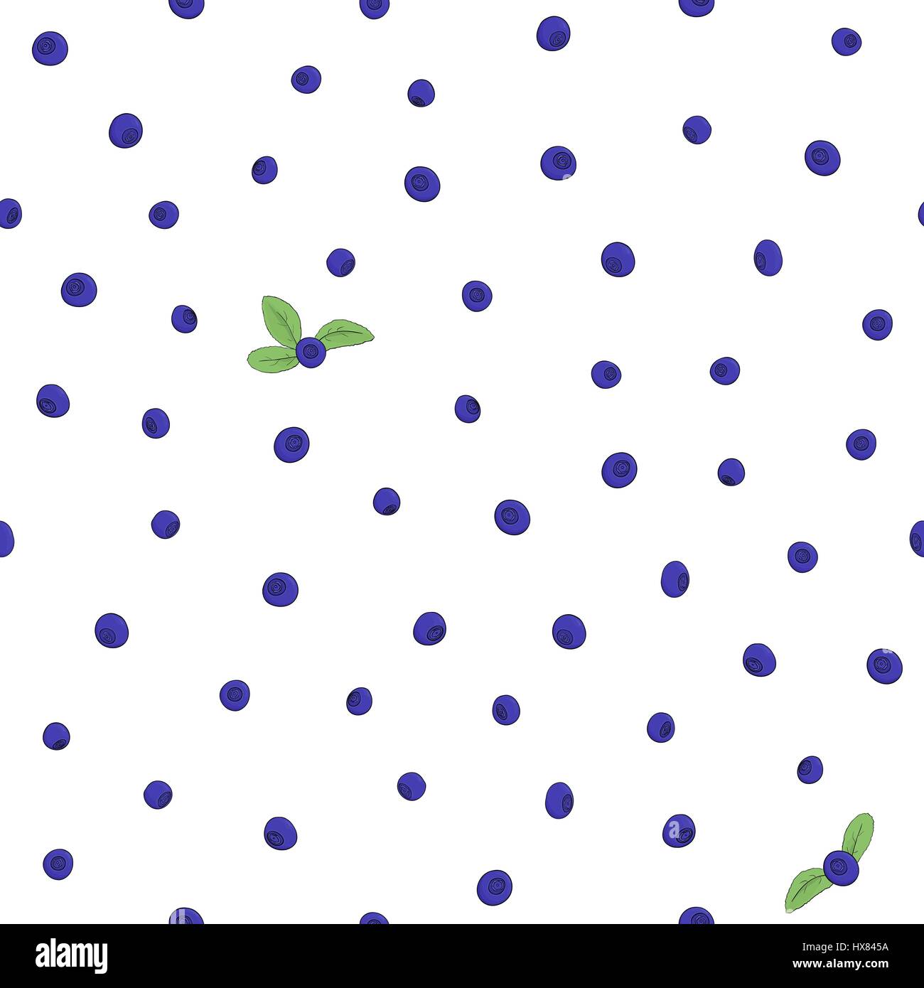 Seamless pattern naturel de bleuets sur fond blanc. Éléments de la tendance dessinée à la main un contour foncé et peint de couleurs vives. Vector Illustration de Vecteur