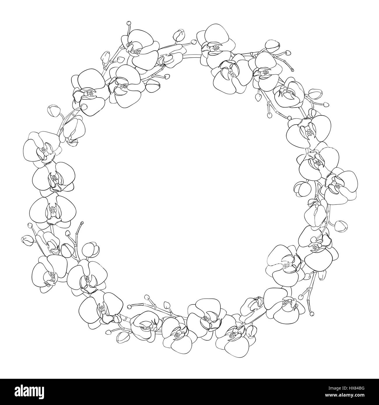 Couronne naturelle ronde ou un cadre de branches avec des fleurs délicates orchidées blanches sur fond blanc, à la main. Falenopsis. Hand drawn vector illu Illustration de Vecteur