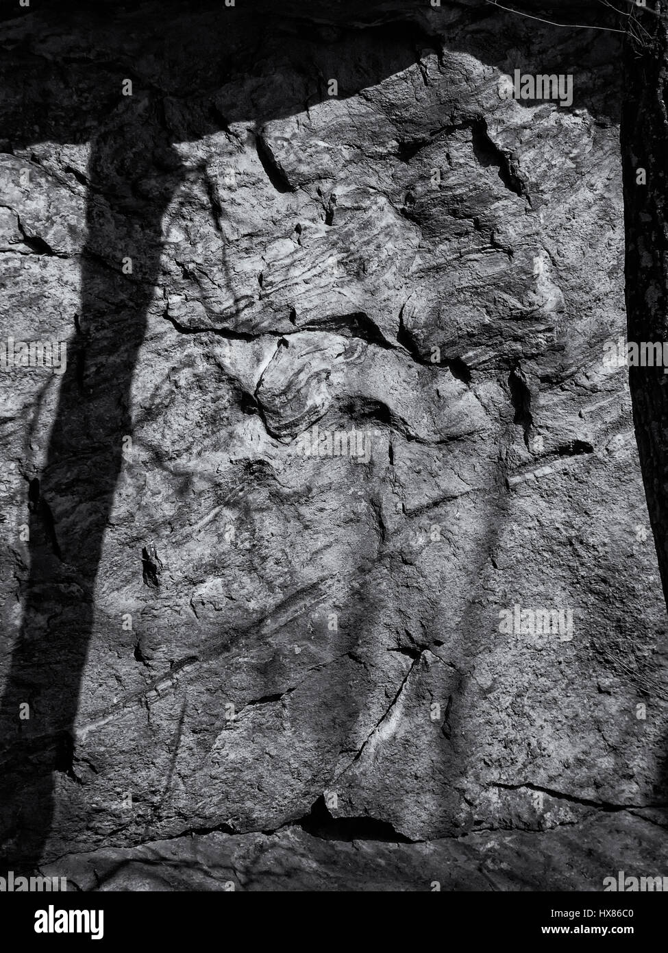 Affleurement rocheux Vue de côté avec l'ombre des arbres en monochrome Banque D'Images